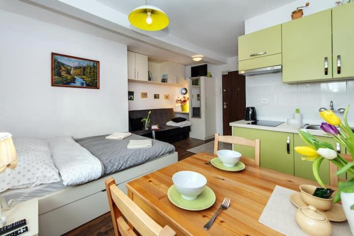 Cosy Studio Apartment Krakkó Kültér fotó