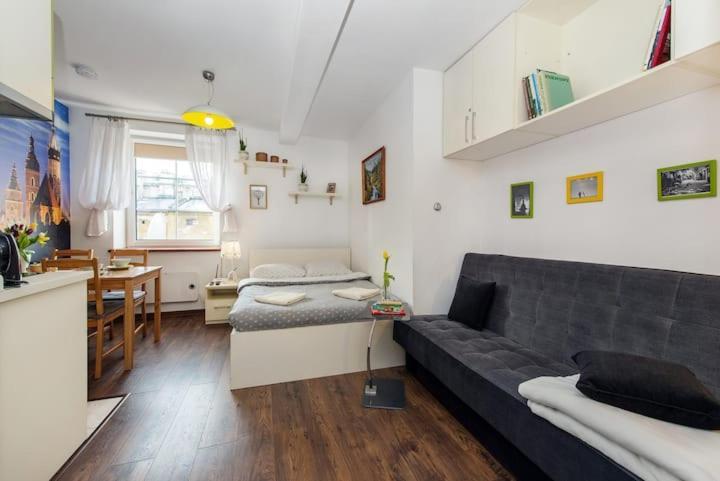 Cosy Studio Apartment Krakkó Kültér fotó